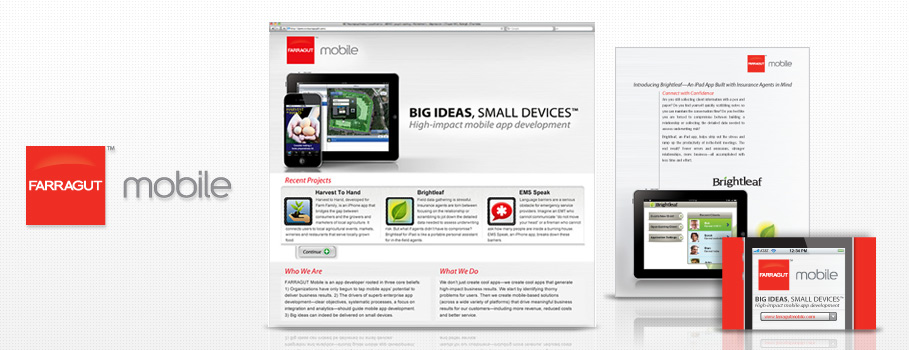 Custom web design and print branding