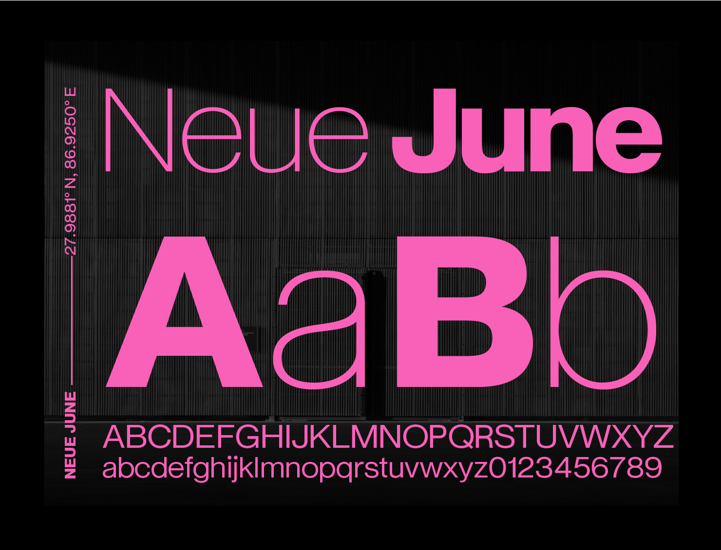Neue June