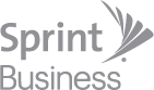 Sprint Business Systems